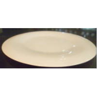 中強(qiáng)/碗/10寸/反邊/25.5*14*1